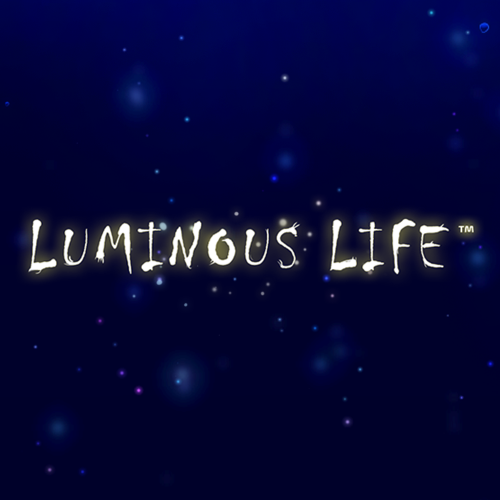 Luminous Life 发光生活
